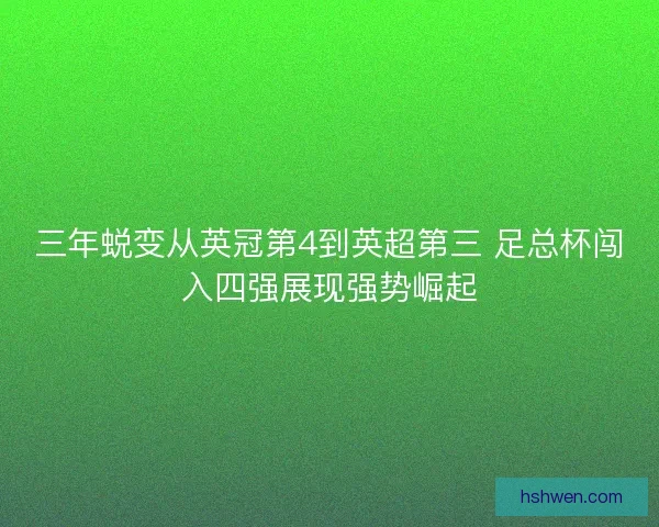 三年蜕变从英冠第4到英超第三 足总杯闯入四强展现强势崛起 三年蜕变从英冠第4到英超第三 足总杯闯入四强展现强势崛起